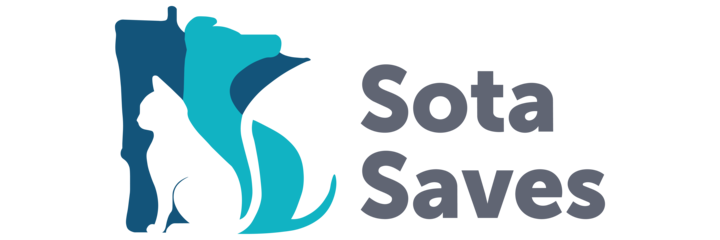 Sota Saves